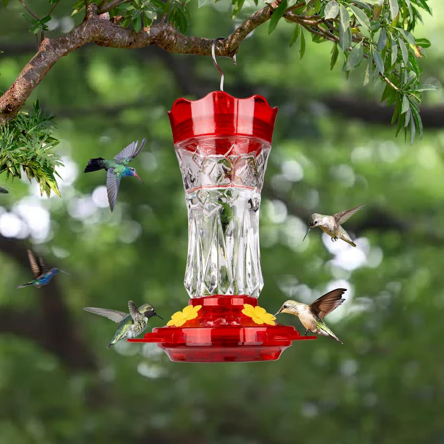 Glass Hummingbird Feeders for Outdoors Hanging, Built-In Ant Moat, 4 Bee Guard Feeding Ports with Perches, Leak Proof, 15 Ounces, Stars Decor, Red, Gifts for Women Men, Gifts for Mom Dad