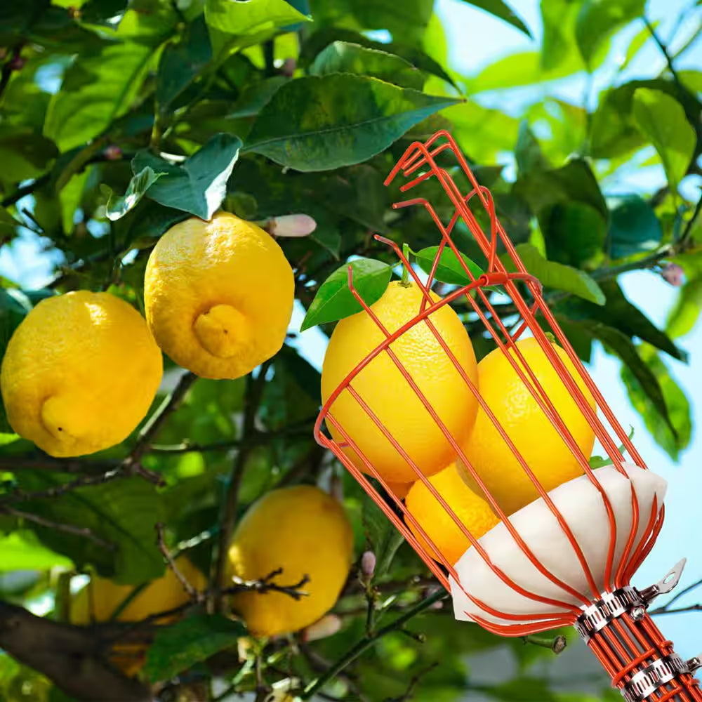 96 In. Stainless Steel Handle Fruit Picker